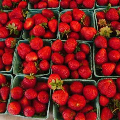 FarmersMarketSquare2